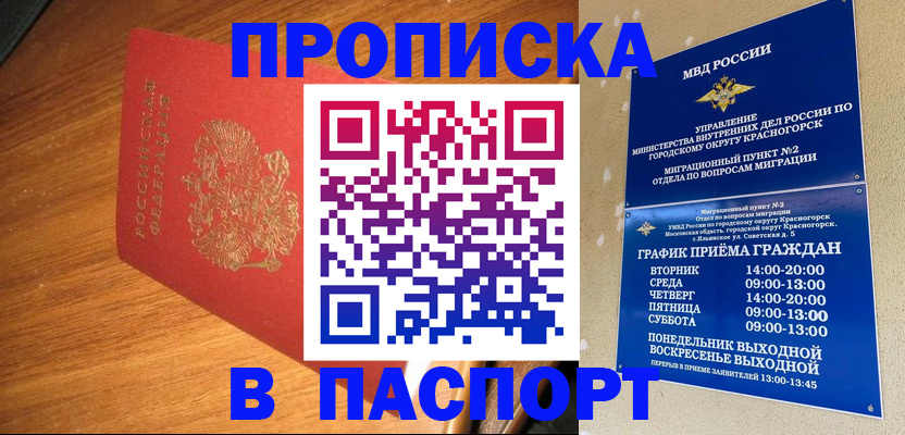 прописка 2025 в Саранске